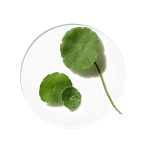 centella