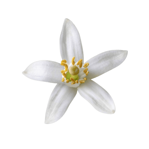 neroli hidrolátum
